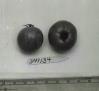 Click for 5 image(s) for this accession. FRUIT